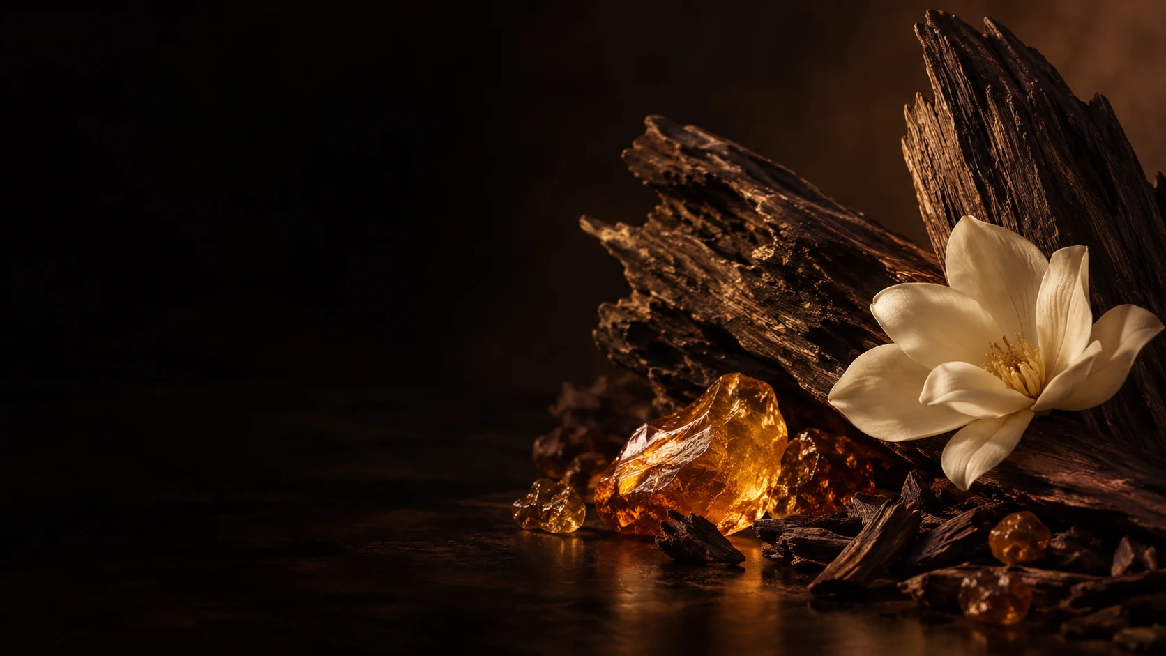 Amber resin, oud wood and a luminous ivory flower
